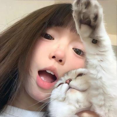 两个阿尔弗雷德海报