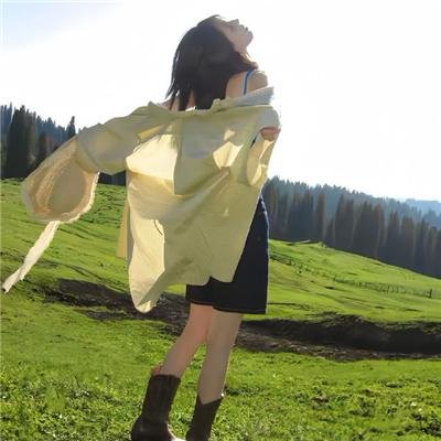女人藏身的森林海报